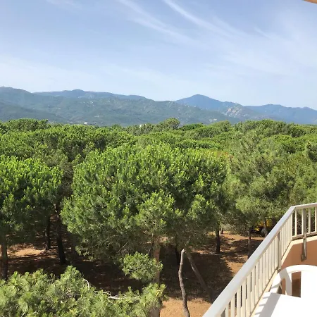 Des Pins Argelès-sur-Mer