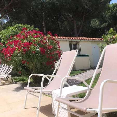 Plage Des Pins Argeles-sur-Mer