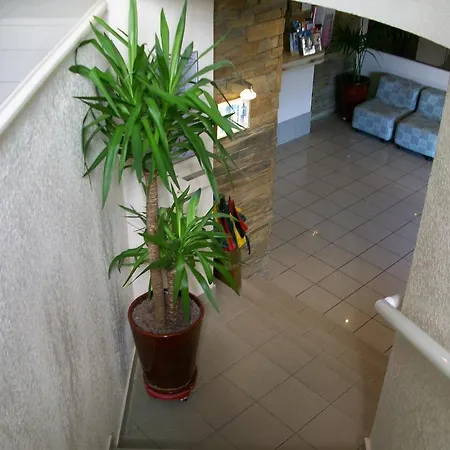 Des Pins Otel Argelès-sur-Mer